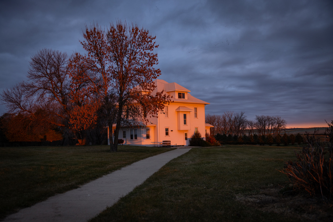The farmhouse glowing at last light beside a cottonwood