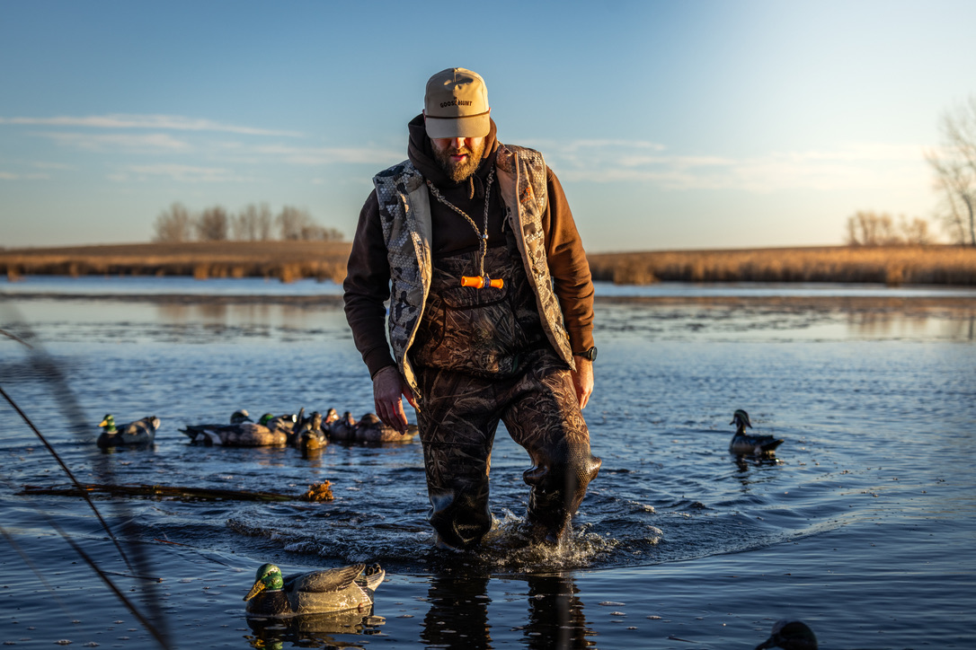 Waterfowler wading through a spread of duck decoys