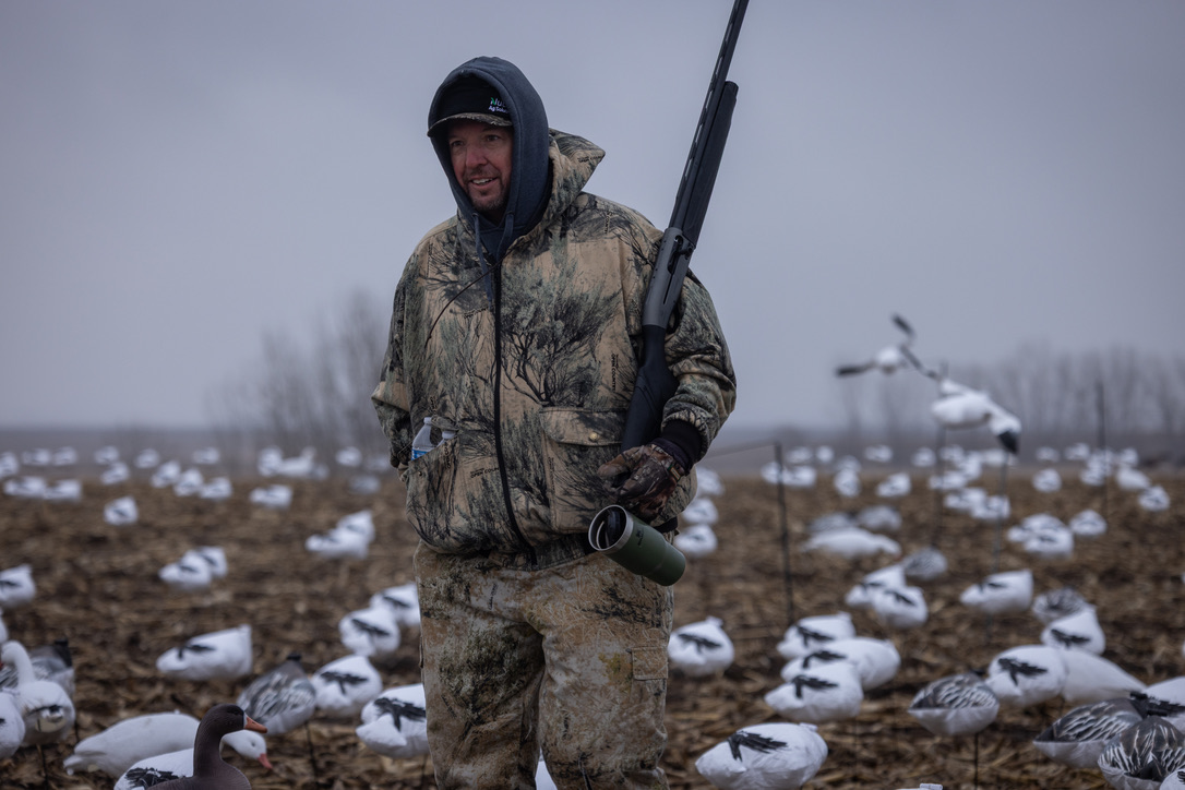 Guide standing in a spread of snow goose decoys
