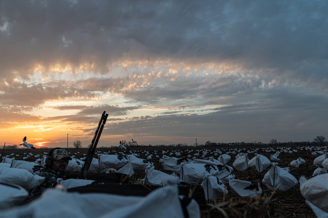 Wide sunset view over the snow goose decoy spread