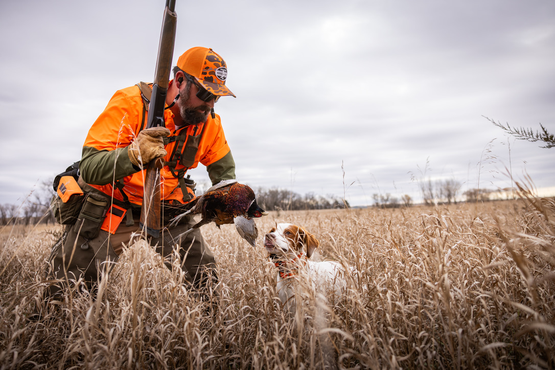 Hunter kneeling with a Brittany over a wild rooster