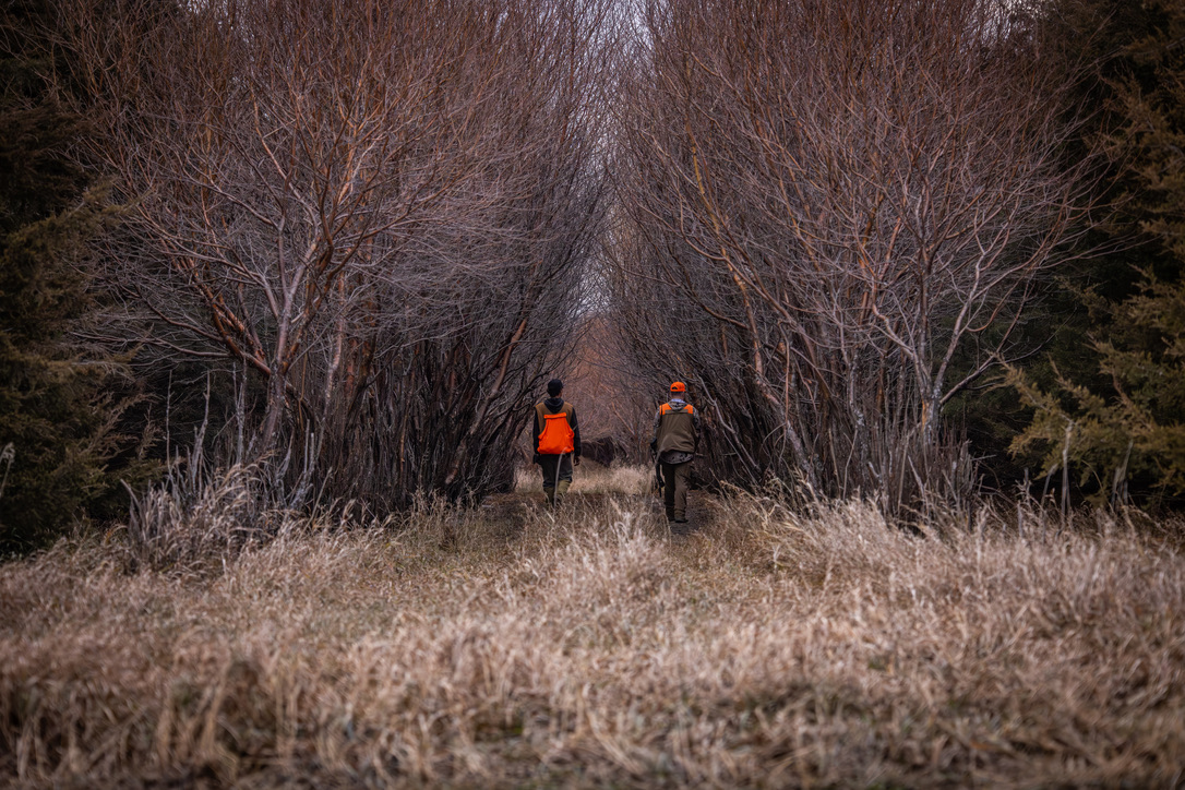 Two hunters walking a tree tunnel at dusk