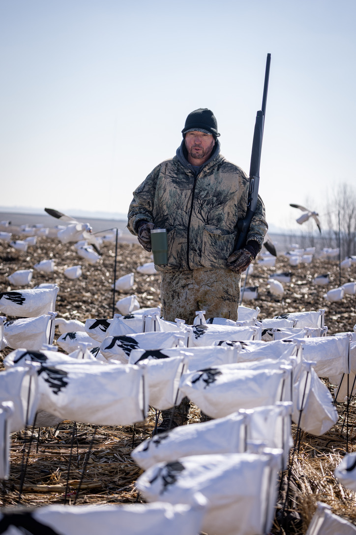 Snow goose hunter with coffee among the decoy spread