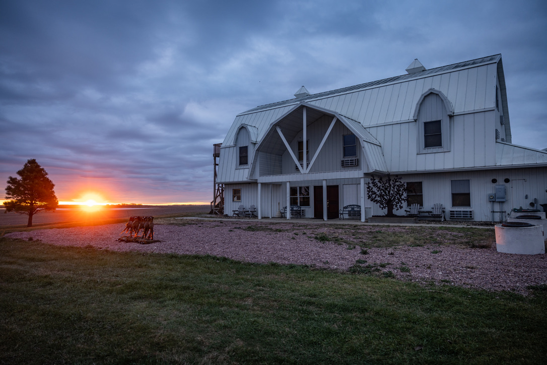 The lodge at sunrise with pointers on the gravel